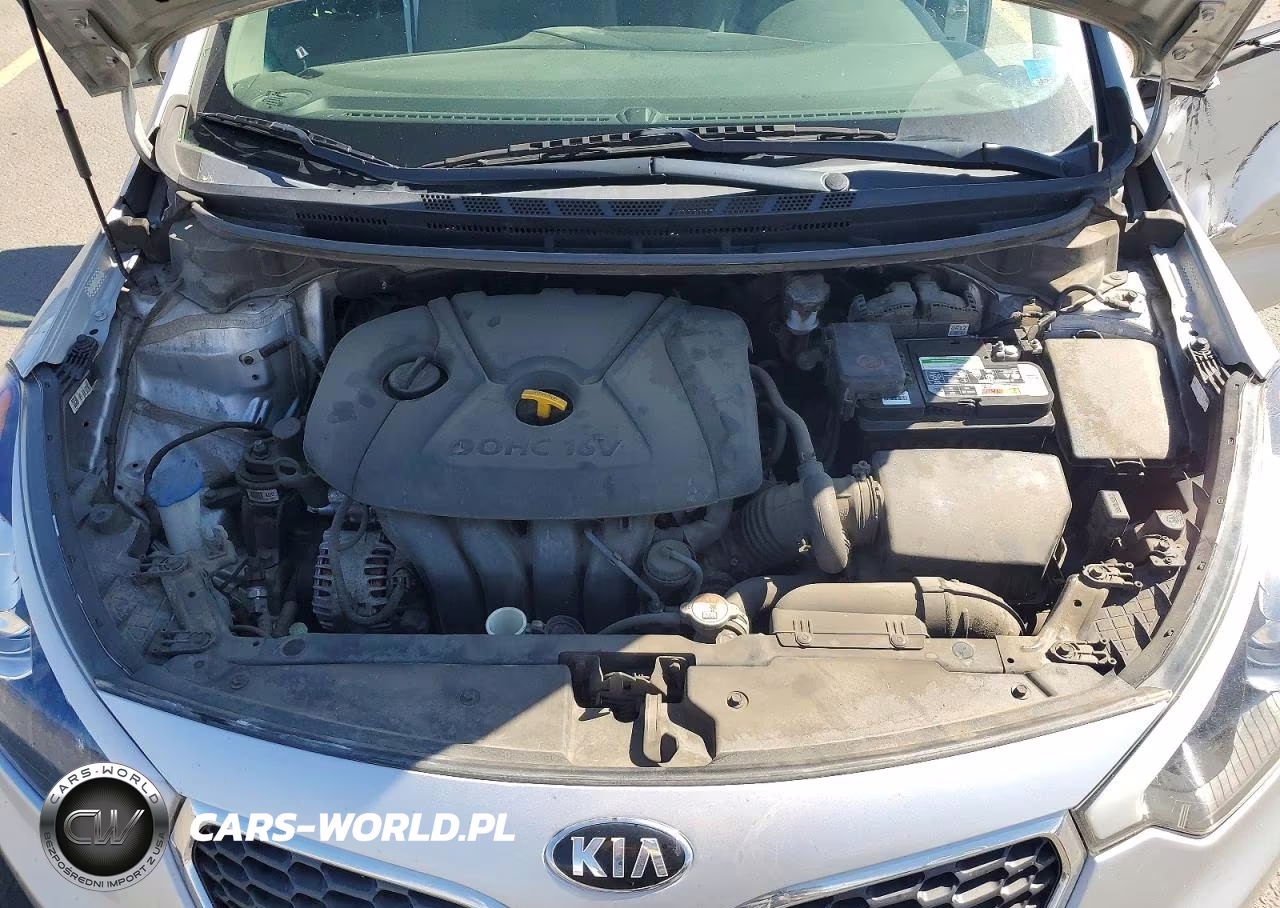 2016 Kia Forte Lx VIN:KNAFK4A67G5449409 - 11