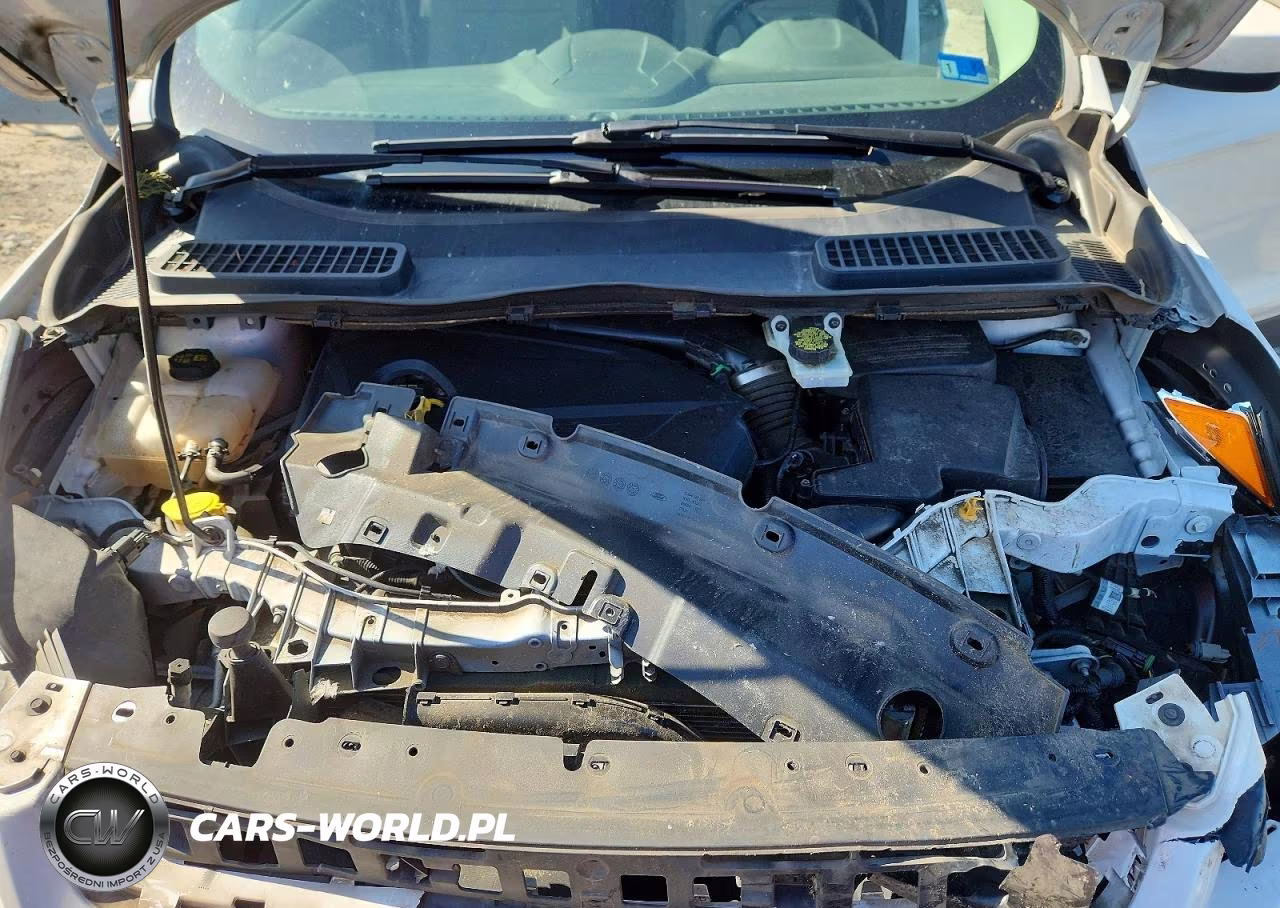 2014 Ford Escape Se VIN:1FMCU0GX9EUE07654 - 11