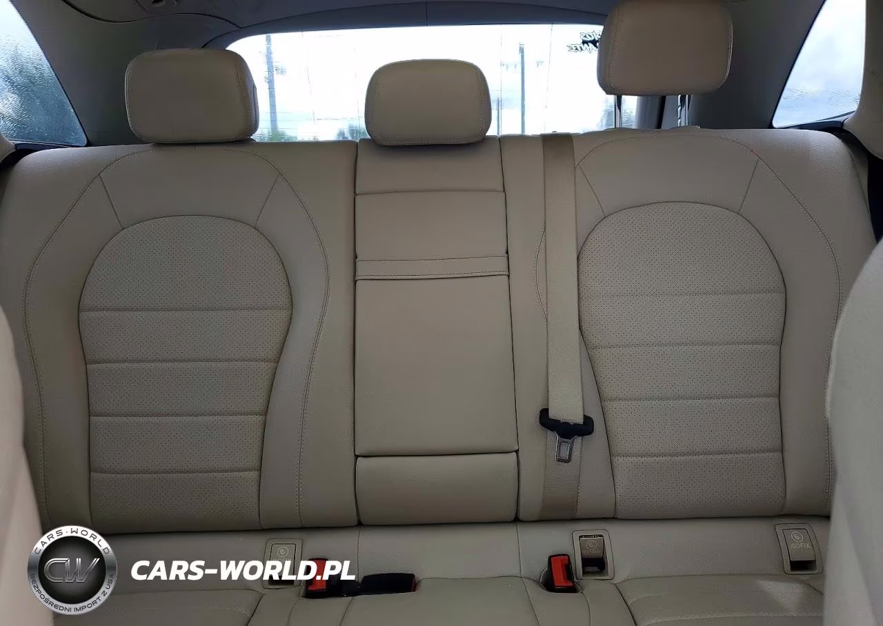 2017 Mercedes-Benz Glc 300 VIN:WDC0G4JB6HF190943 - 10