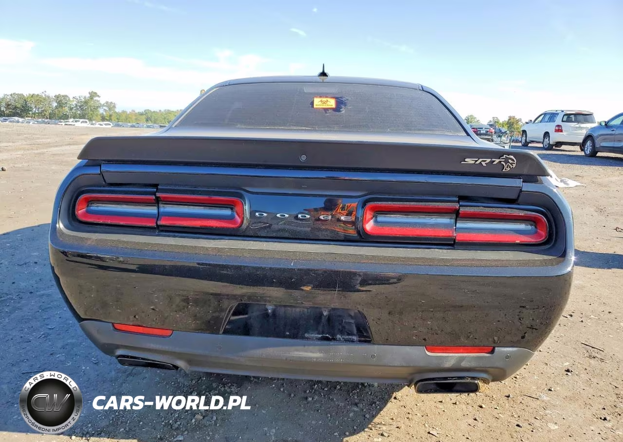 2018 Dodge Challenger Srt Hellcat VIN:2C3CDZC98JH245243 - 6