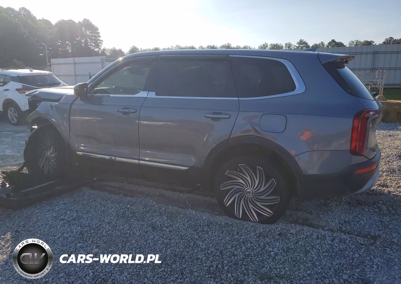 2020 Kia Telluride Lx VIN:5XYP24HC9LG087409 - 2