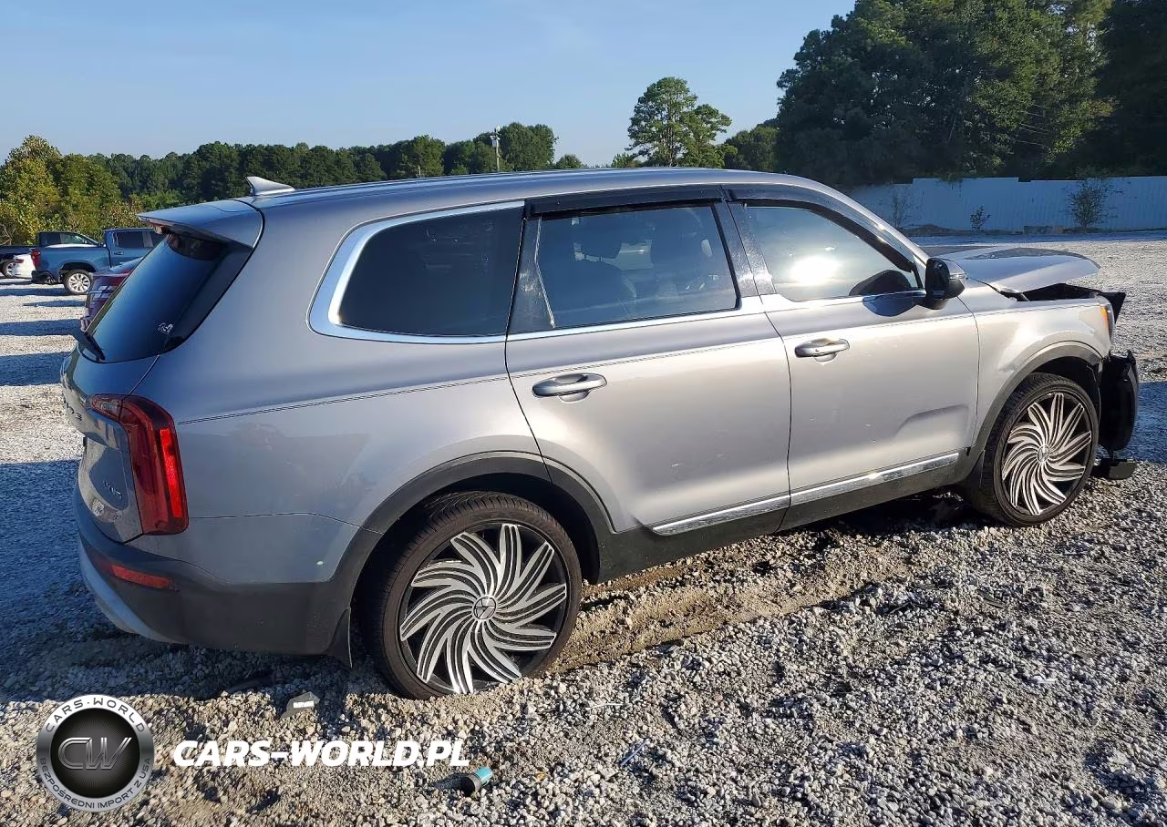 2020 Kia Telluride Lx VIN:5XYP24HC9LG087409 - 3
