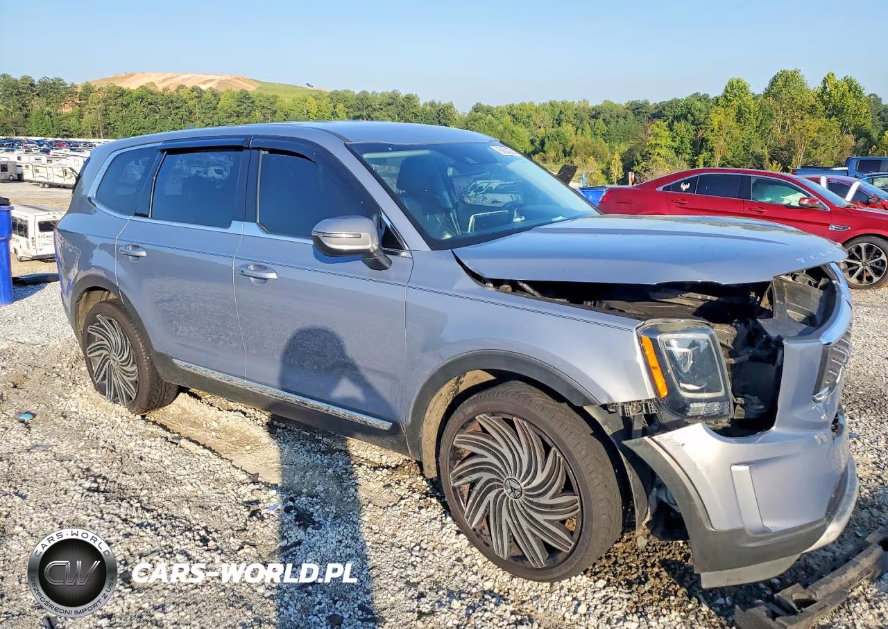 2020 Kia Telluride Lx VIN:5XYP24HC9LG087409 - 4