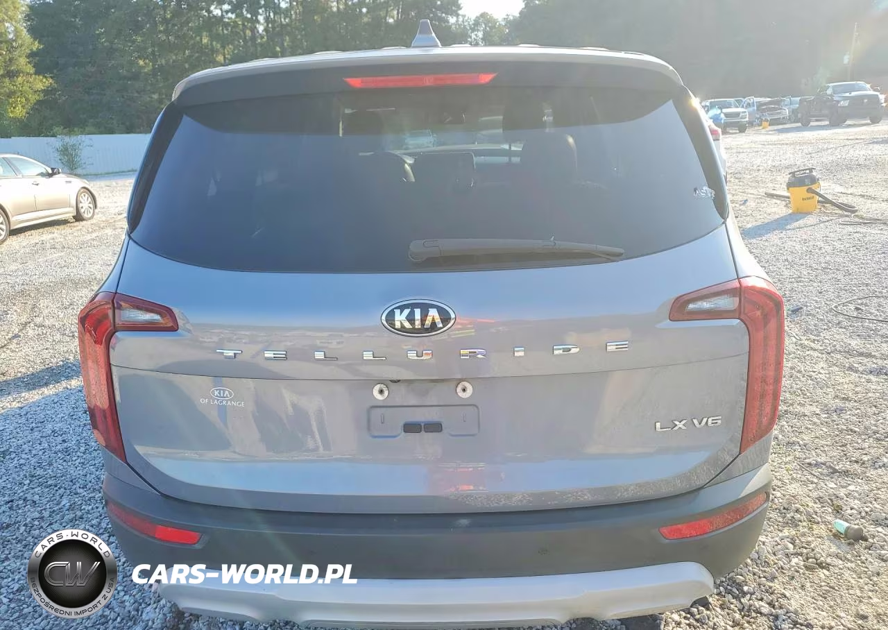 2020 Kia Telluride Lx VIN:5XYP24HC9LG087409 - 6