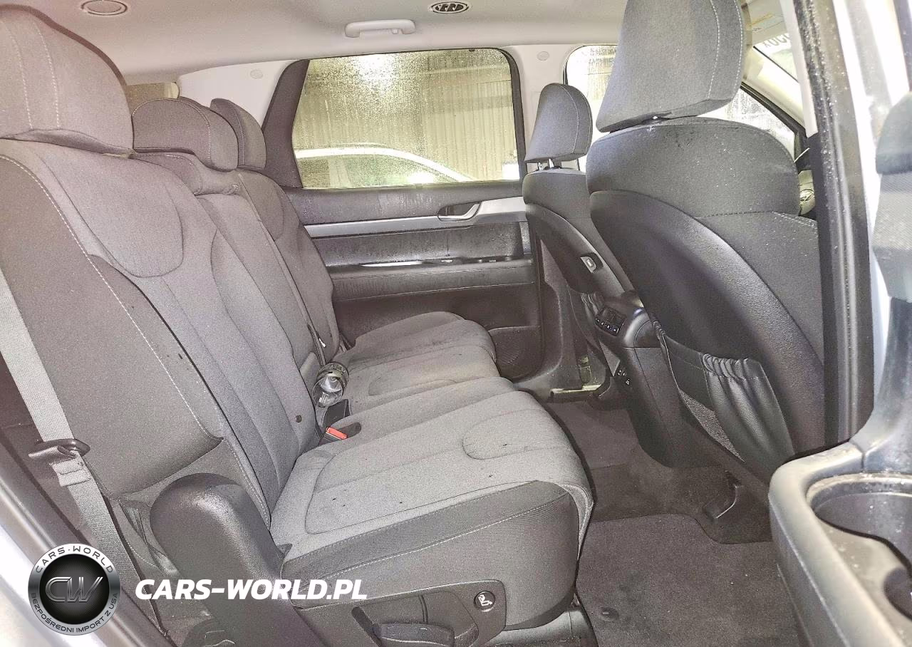 2020 Hyundai Palisade Sel VIN:KM8R3DHE7LU045757 - 11