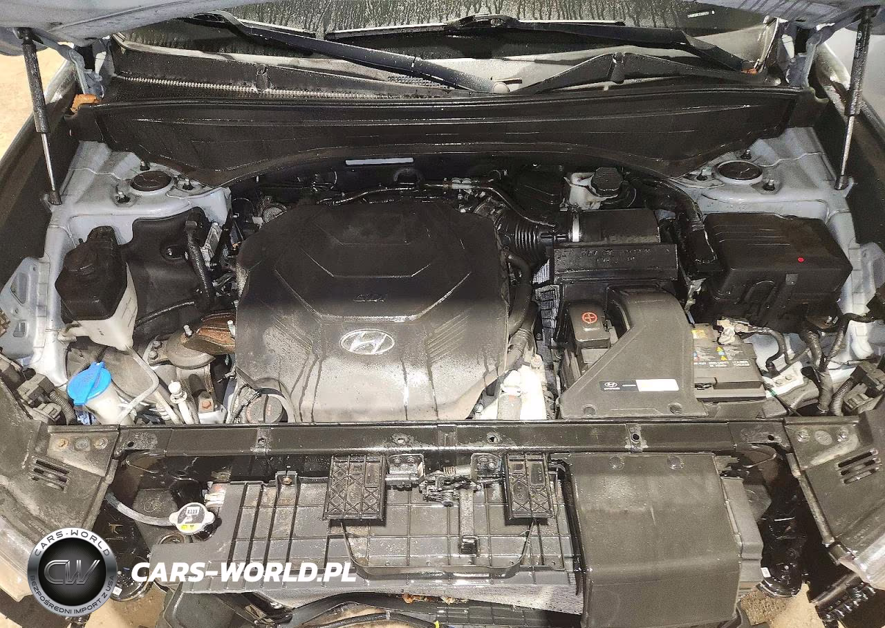 2020 Hyundai Palisade Sel VIN:KM8R3DHE7LU045757 - 12