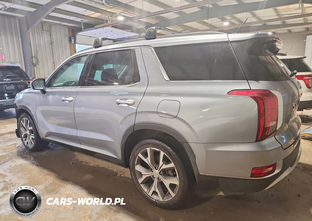 2020 Hyundai Palisade Sel VIN:KM8R3DHE7LU045757 - 2