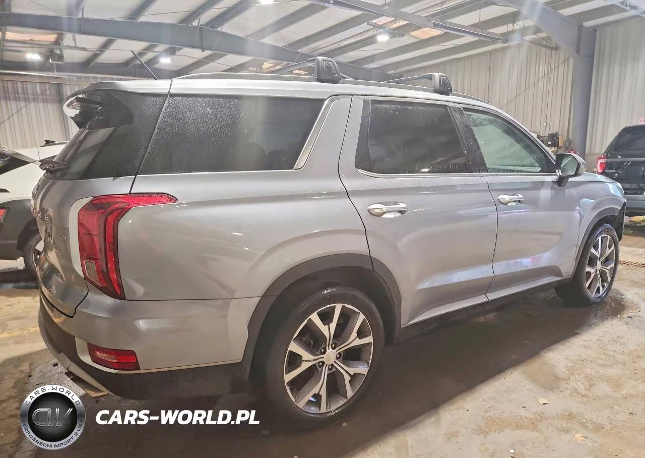 2020 Hyundai Palisade Sel VIN:KM8R3DHE7LU045757 - 3