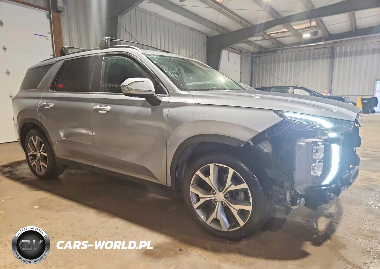 2020 Hyundai Palisade Sel VIN:KM8R3DHE7LU045757 - 4