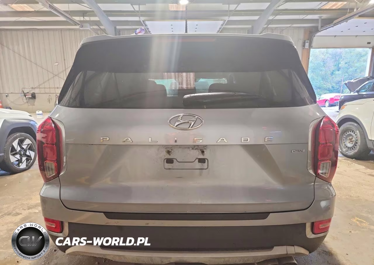 2020 Hyundai Palisade Sel VIN:KM8R3DHE7LU045757 - 6