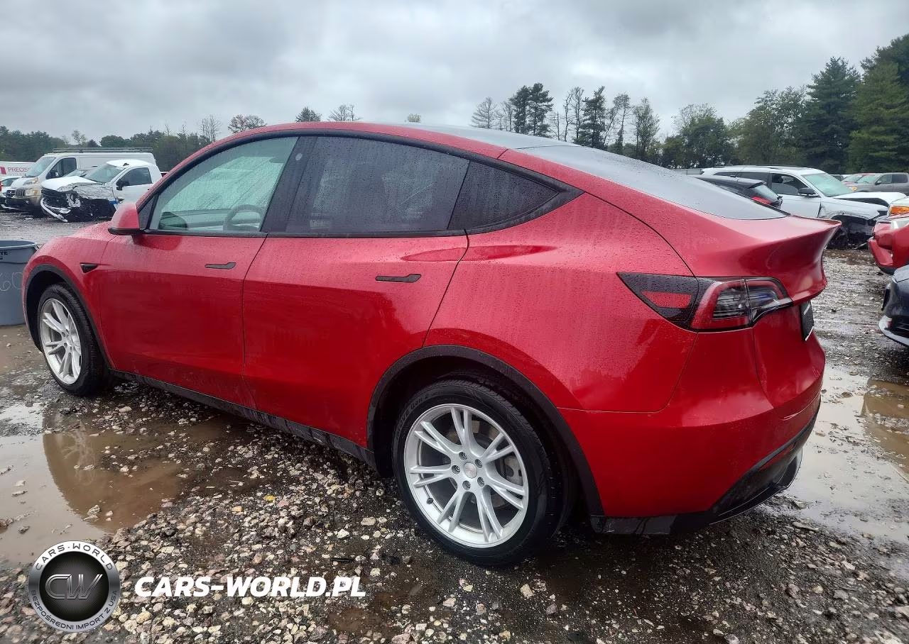 2023 Tesla Model Y VIN:7SAYGDEE2PF661294 - 2