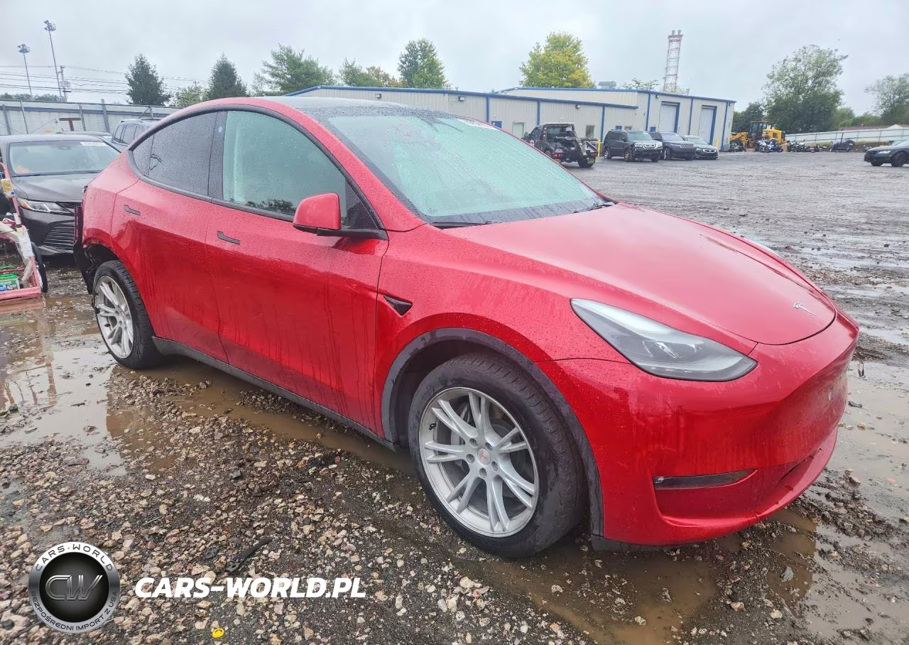 2023 Tesla Model Y VIN:7SAYGDEE2PF661294 - 4