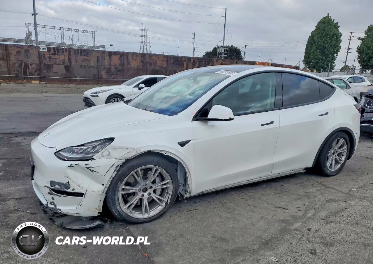 2020 Tesla Model Y
