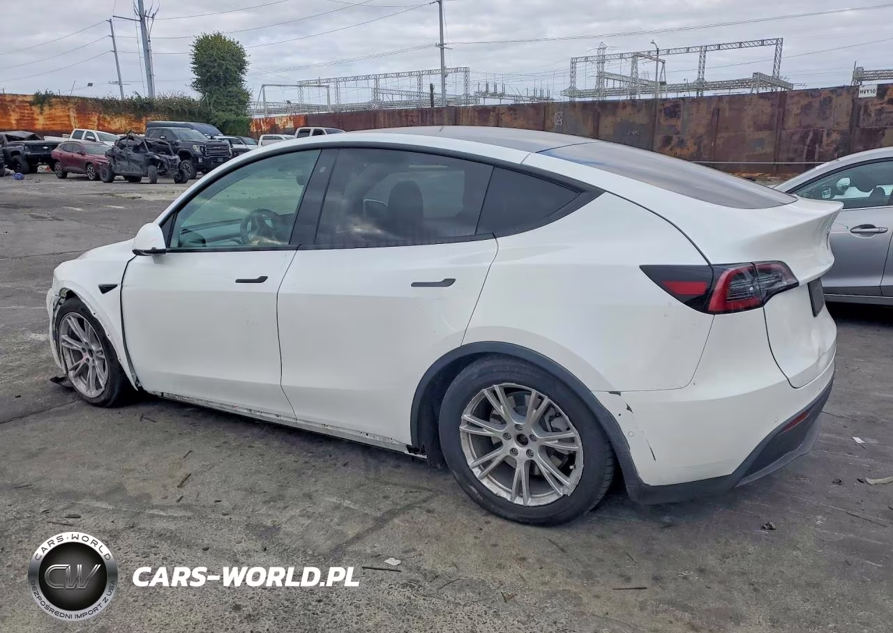 2020 Tesla Model Y VIN:5YJYGDEE0LF026243 - 2