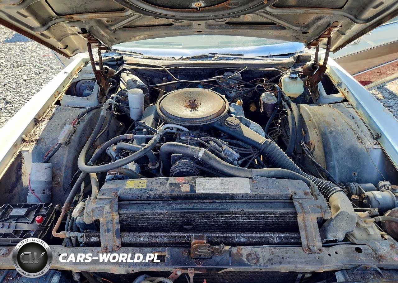 1978 Cadillac Eldorado VIN:6L47S8Q143875 - 11