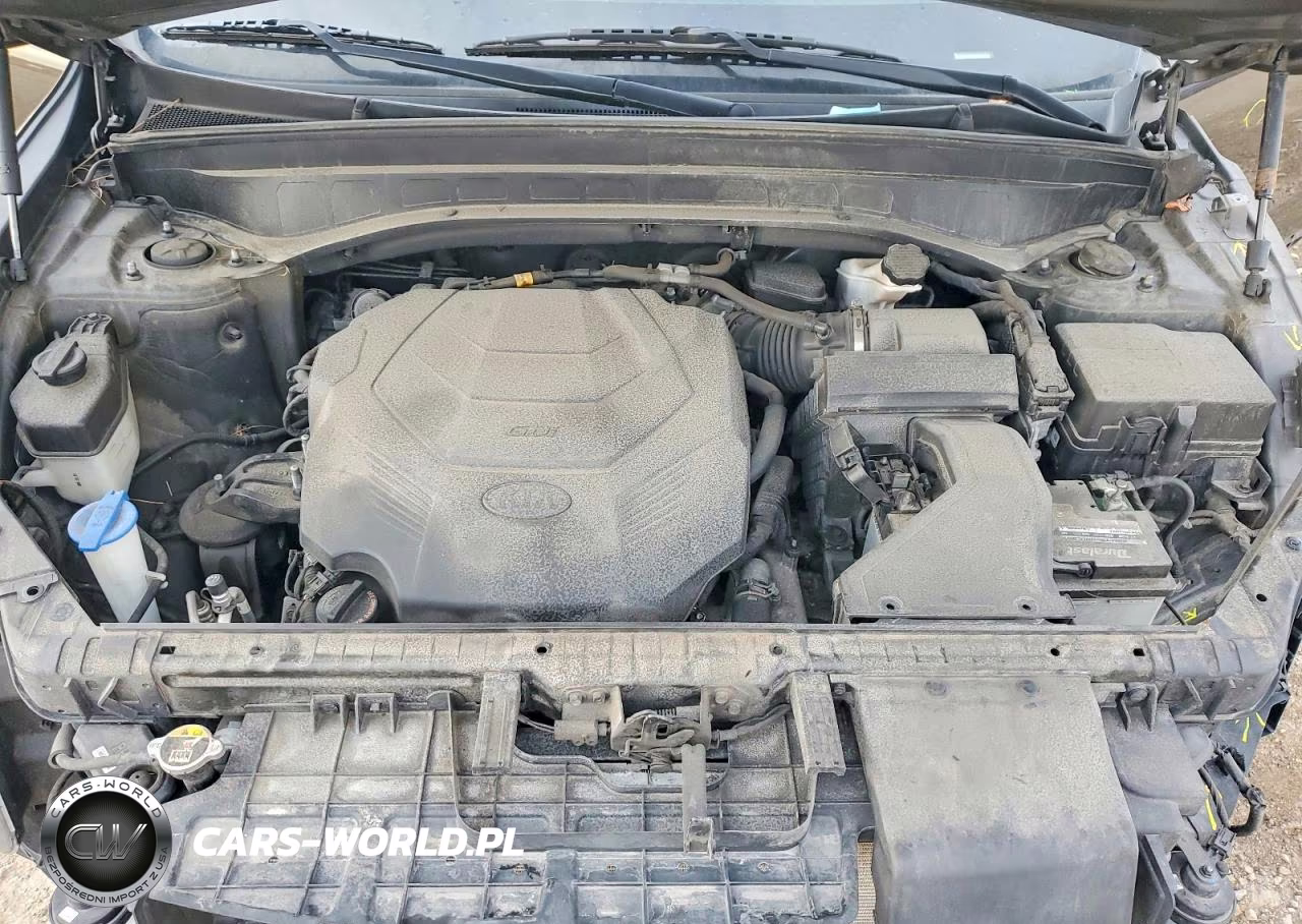 2020 Kia Telluride S VIN:5XYP6DHCXLG006390 - 12