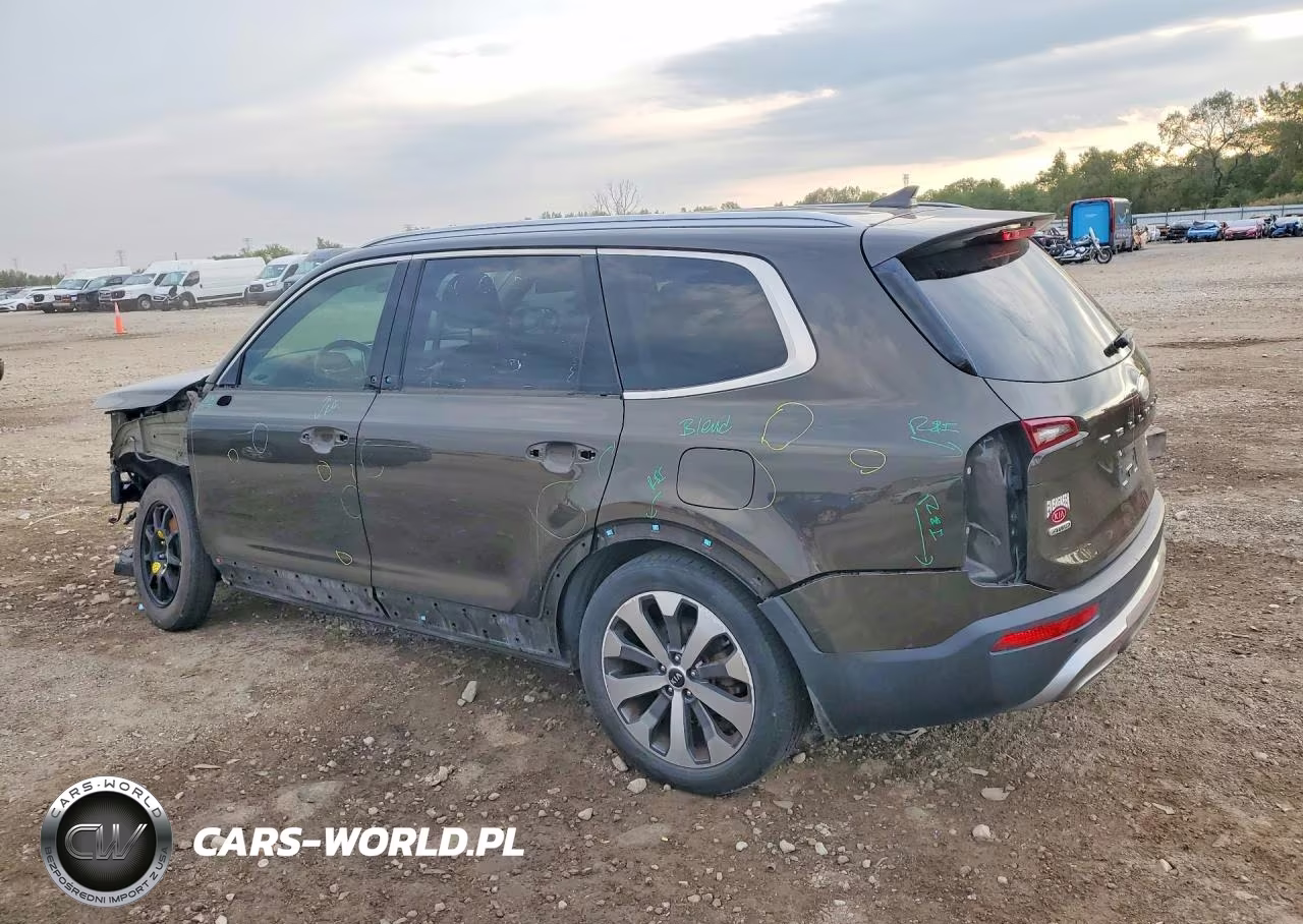 2020 Kia Telluride S VIN:5XYP6DHCXLG006390 - 2