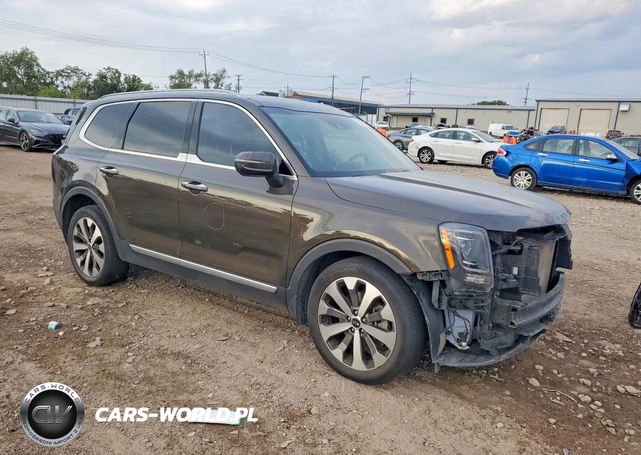 2020 Kia Telluride S VIN:5XYP6DHCXLG006390 - 4