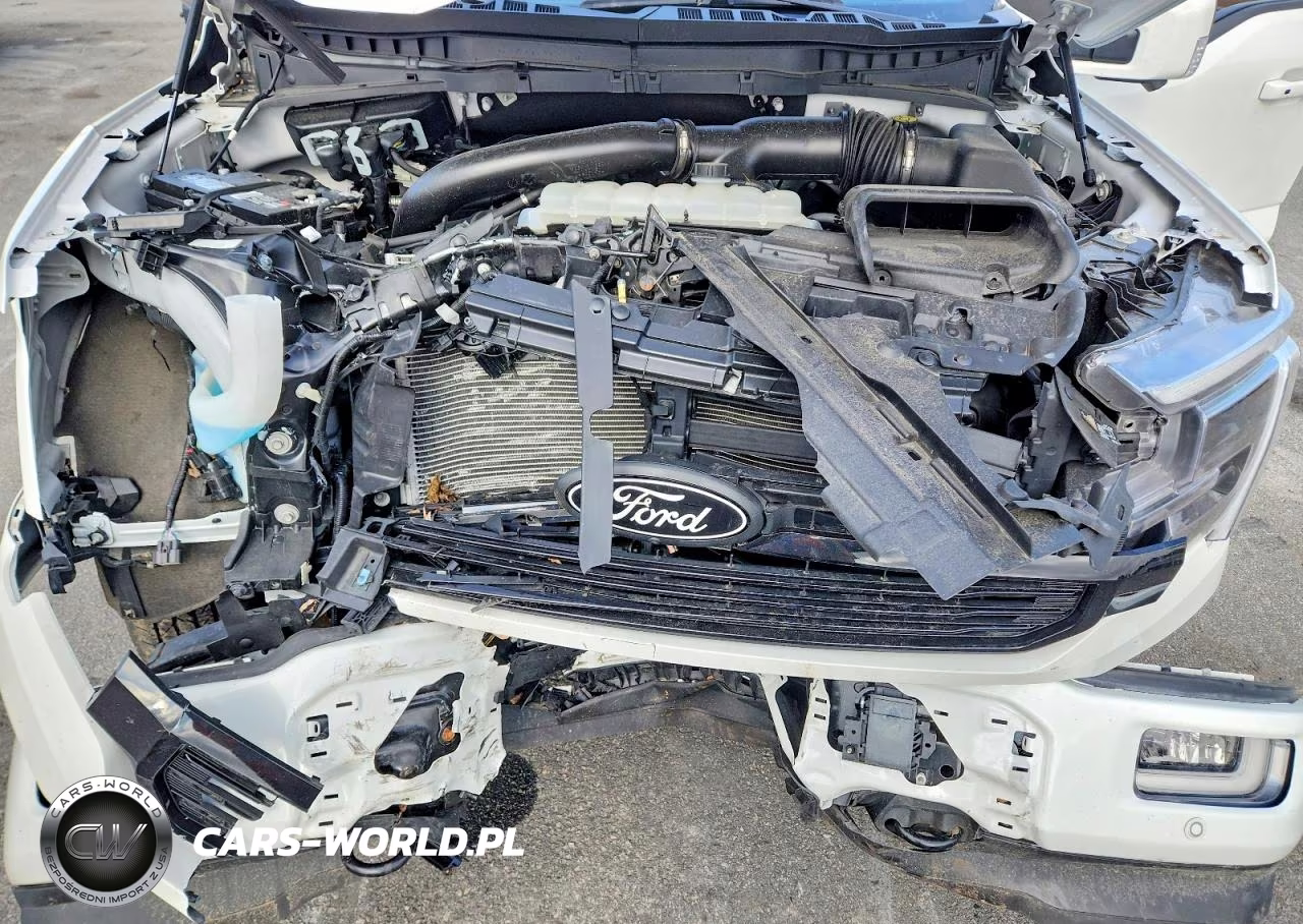 2024 Ford F150 Platinum VIN:1FTFW7L89RFB73254 - 11