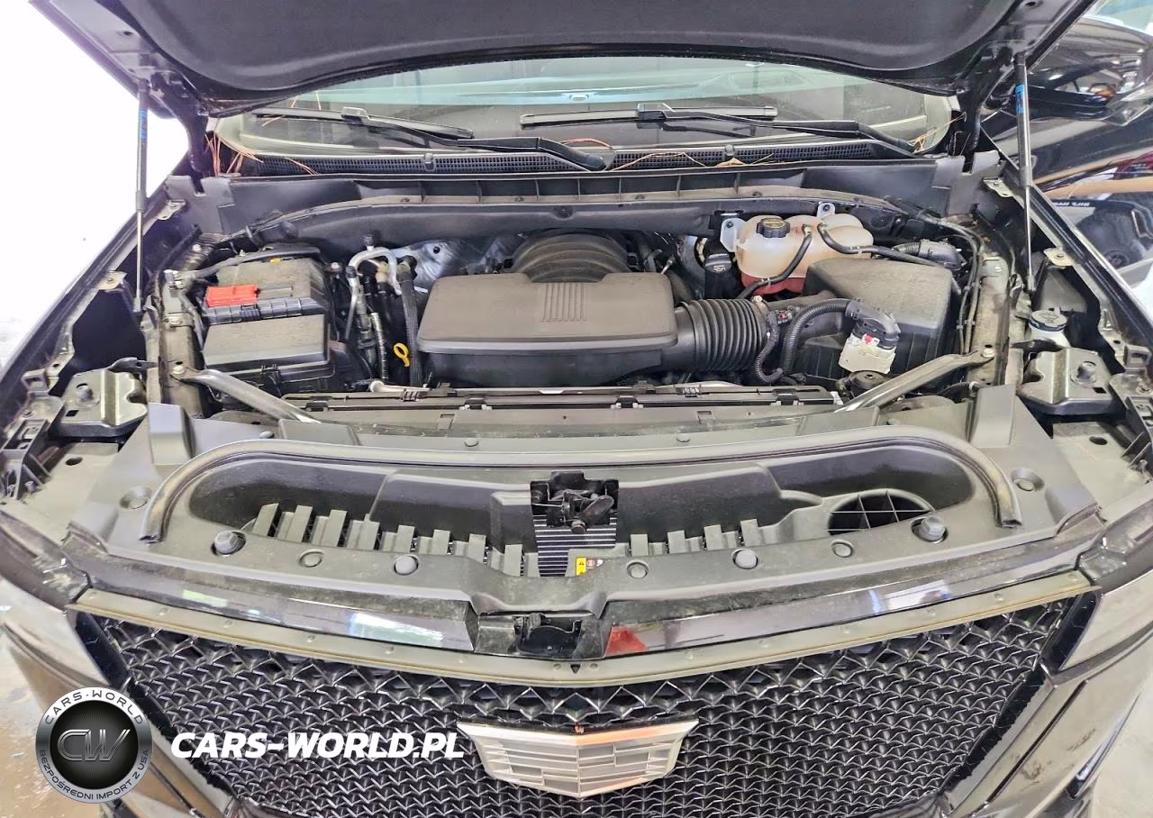 2024 Cadillac Escalade Sport VIN:1GYS4FKLXRR410654 - 12