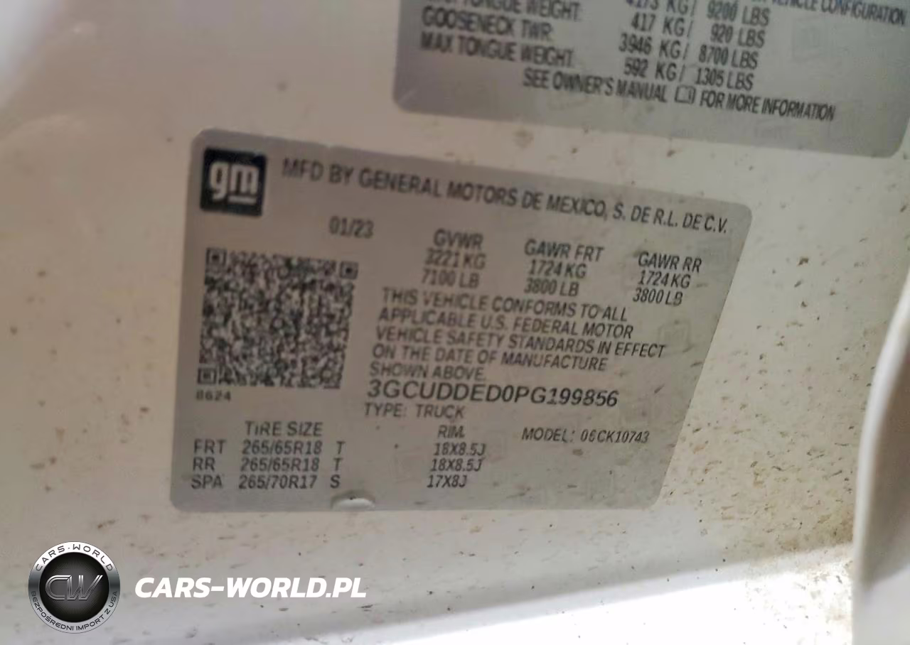 2023 Chevrolet Silverado K1500 Lt VIN:3GCUDDED0PG199856 - 12