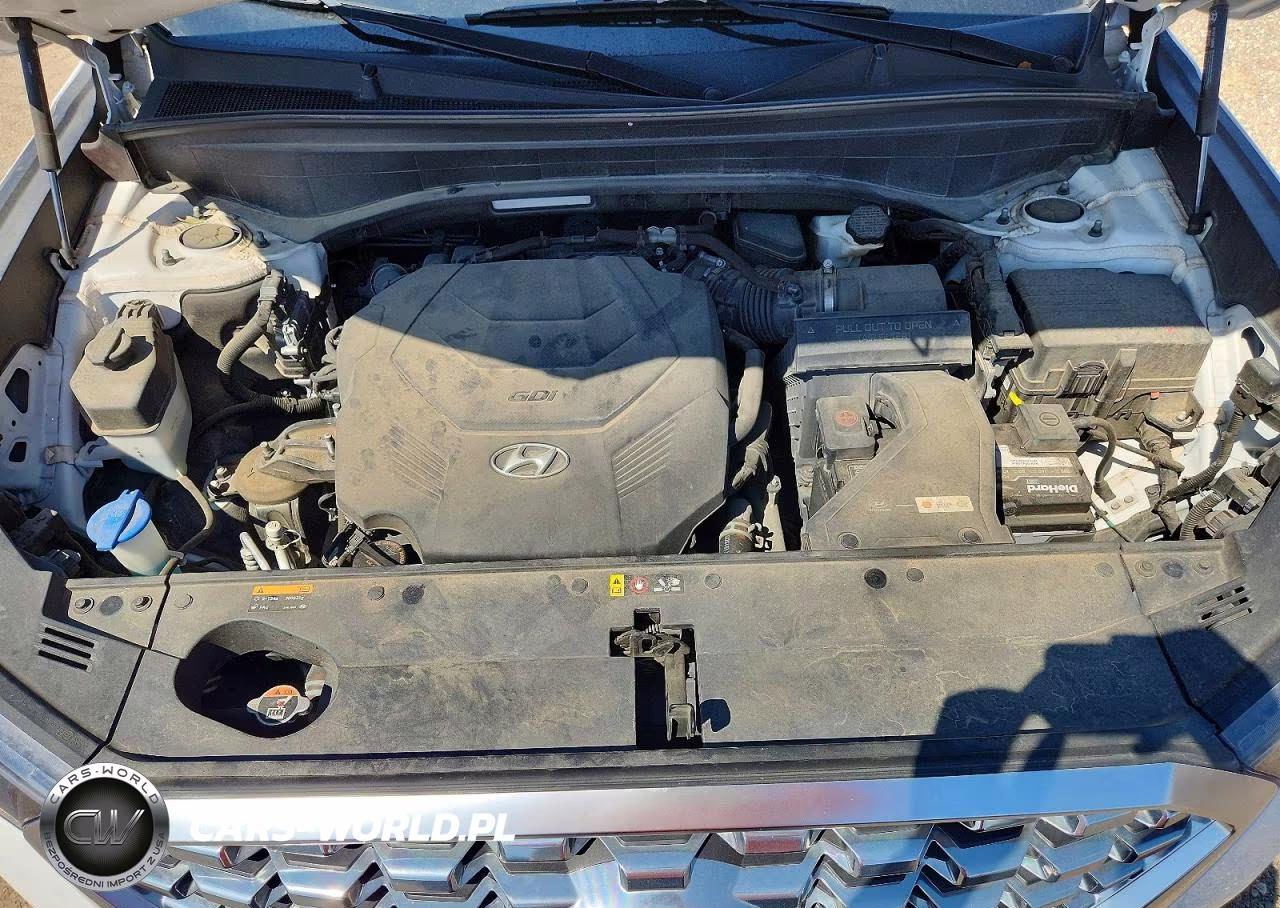 2020 Hyundai Palisade Sel VIN:KM8R34HE9LU153524 - 12