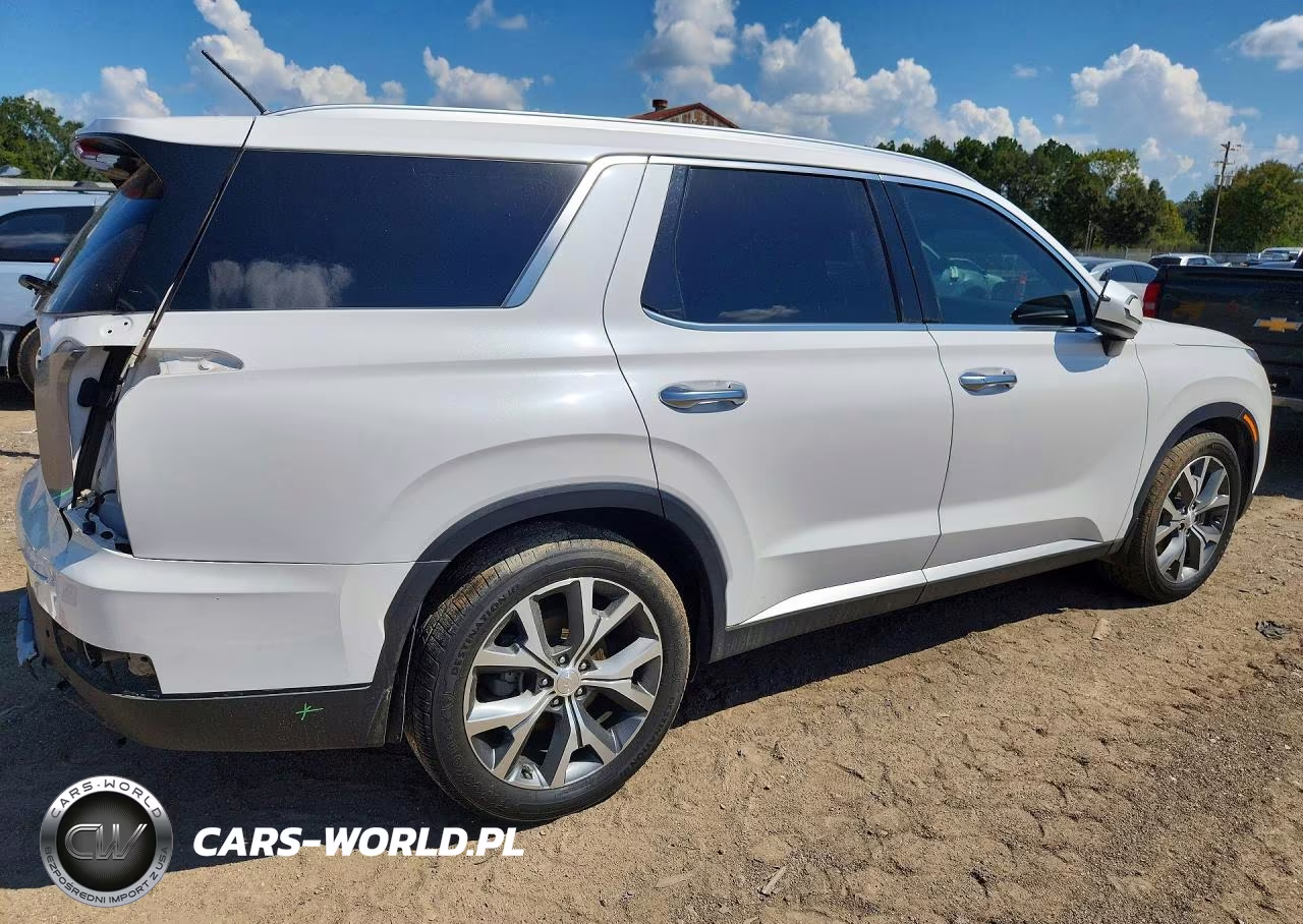 2020 Hyundai Palisade Sel VIN:KM8R34HE9LU153524 - 3
