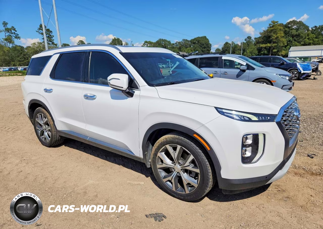 2020 Hyundai Palisade Sel VIN:KM8R34HE9LU153524 - 4