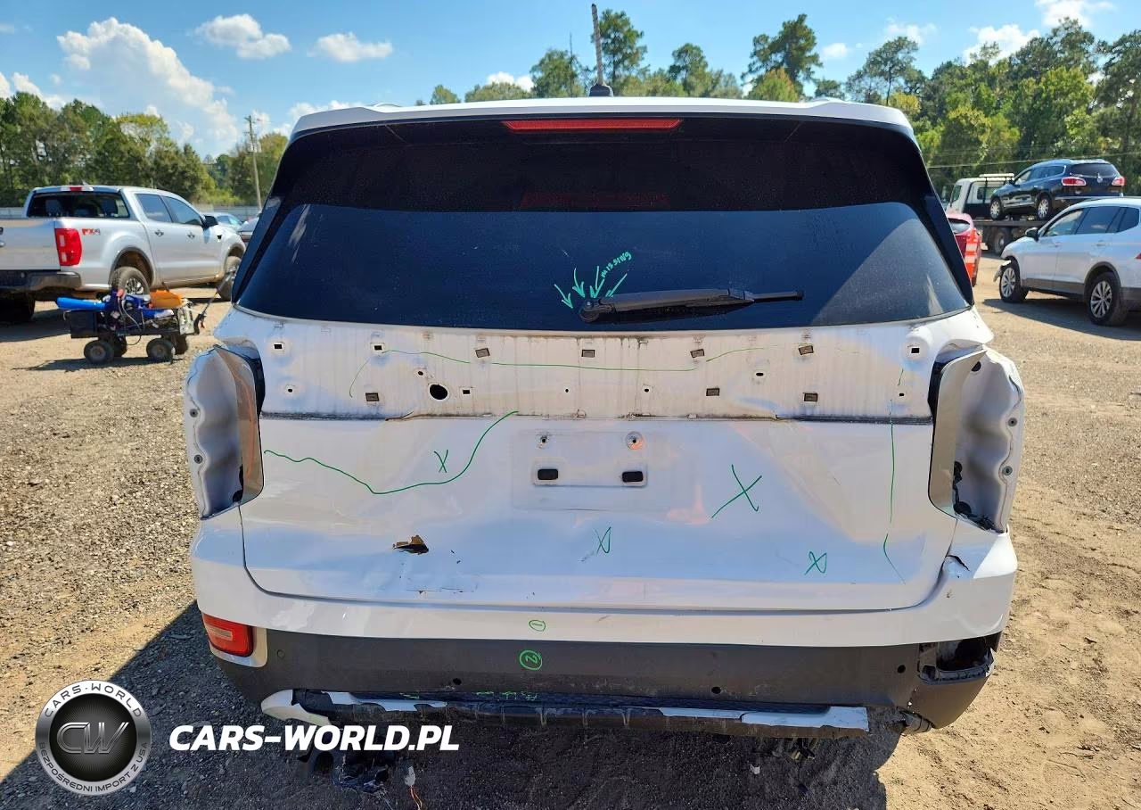 2020 Hyundai Palisade Sel VIN:KM8R34HE9LU153524 - 6