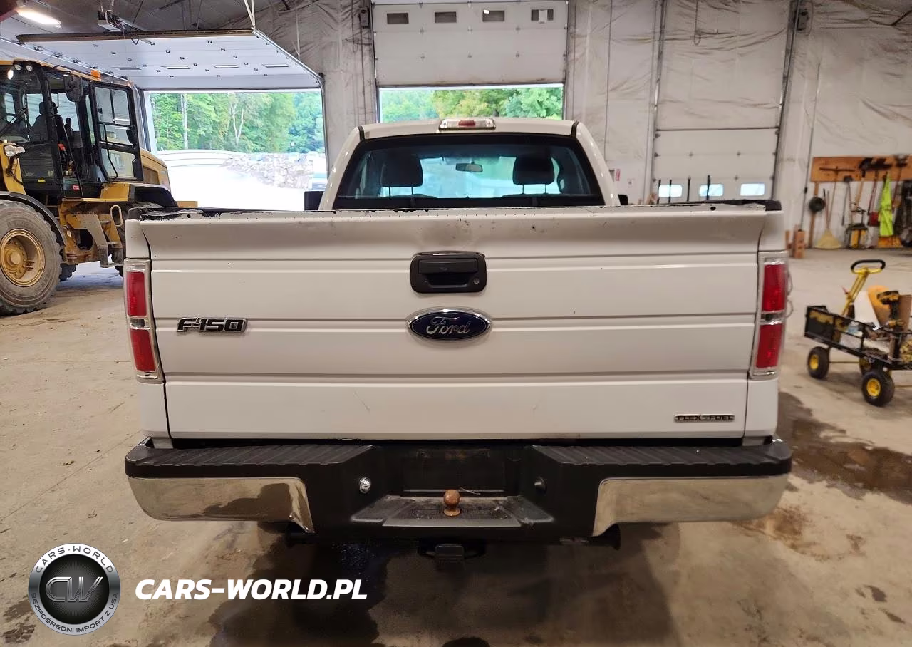 2013 Ford F150 VIN:1FTMF1CM1DKE93945 - 6