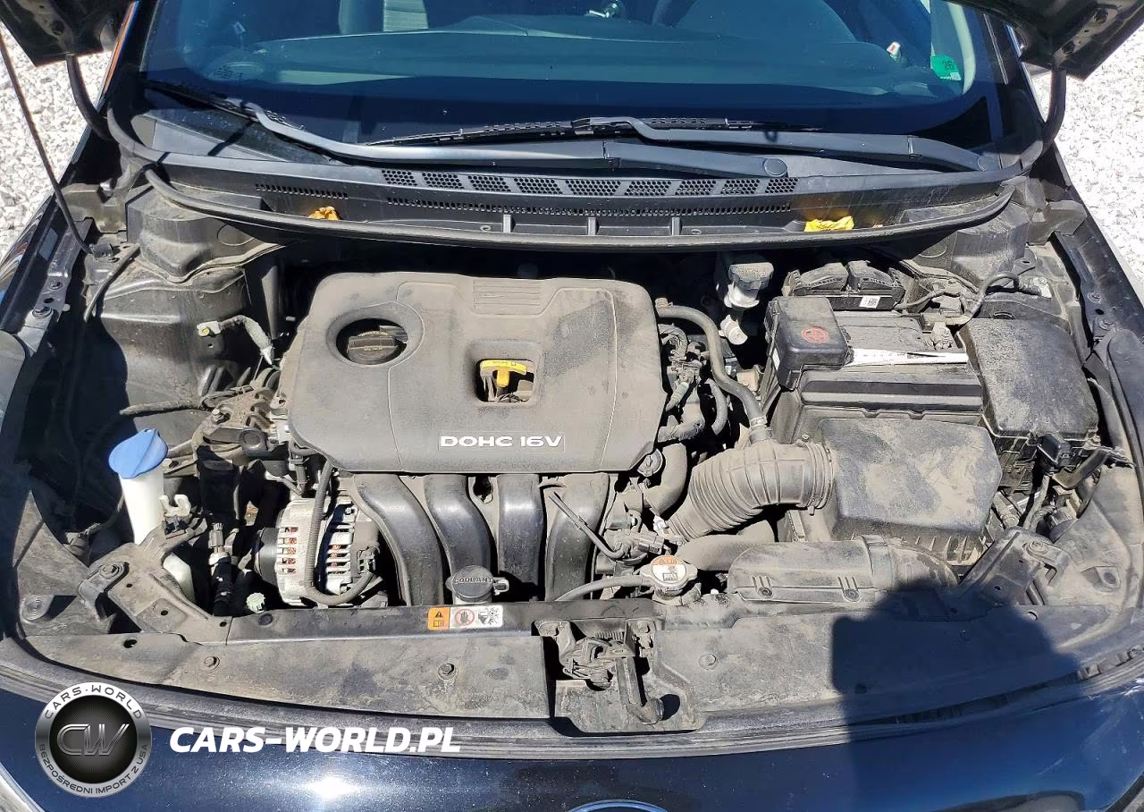 2017 Kia Forte Lx VIN:3KPFL4A7XHE084917 - 11
