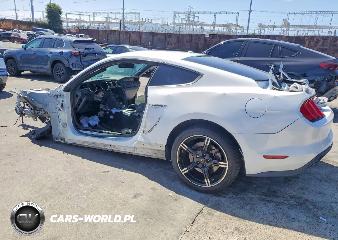 2019 Ford Mustang Gt VIN:1FA6P8CFXK5182788 - 2