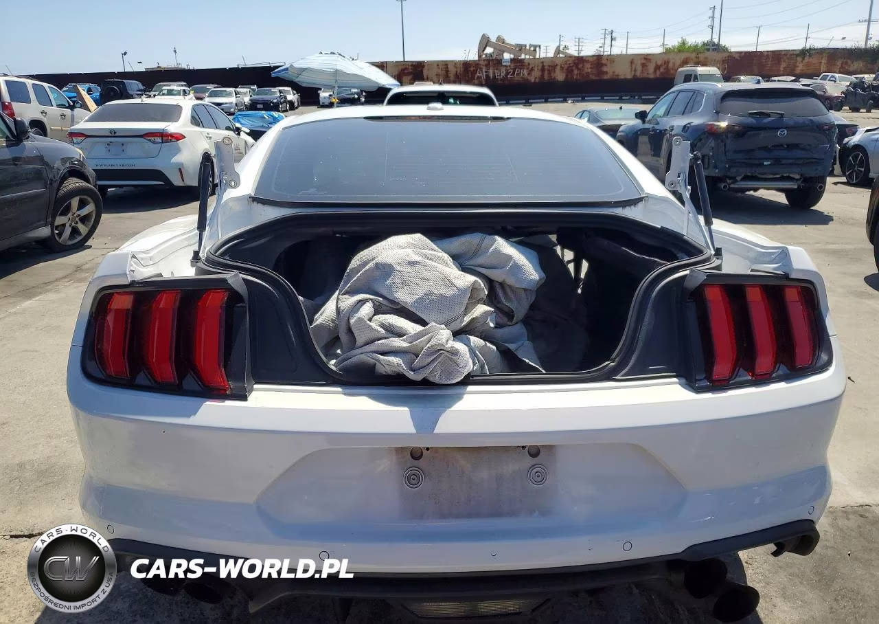 2019 Ford Mustang Gt VIN:1FA6P8CFXK5182788 - 6