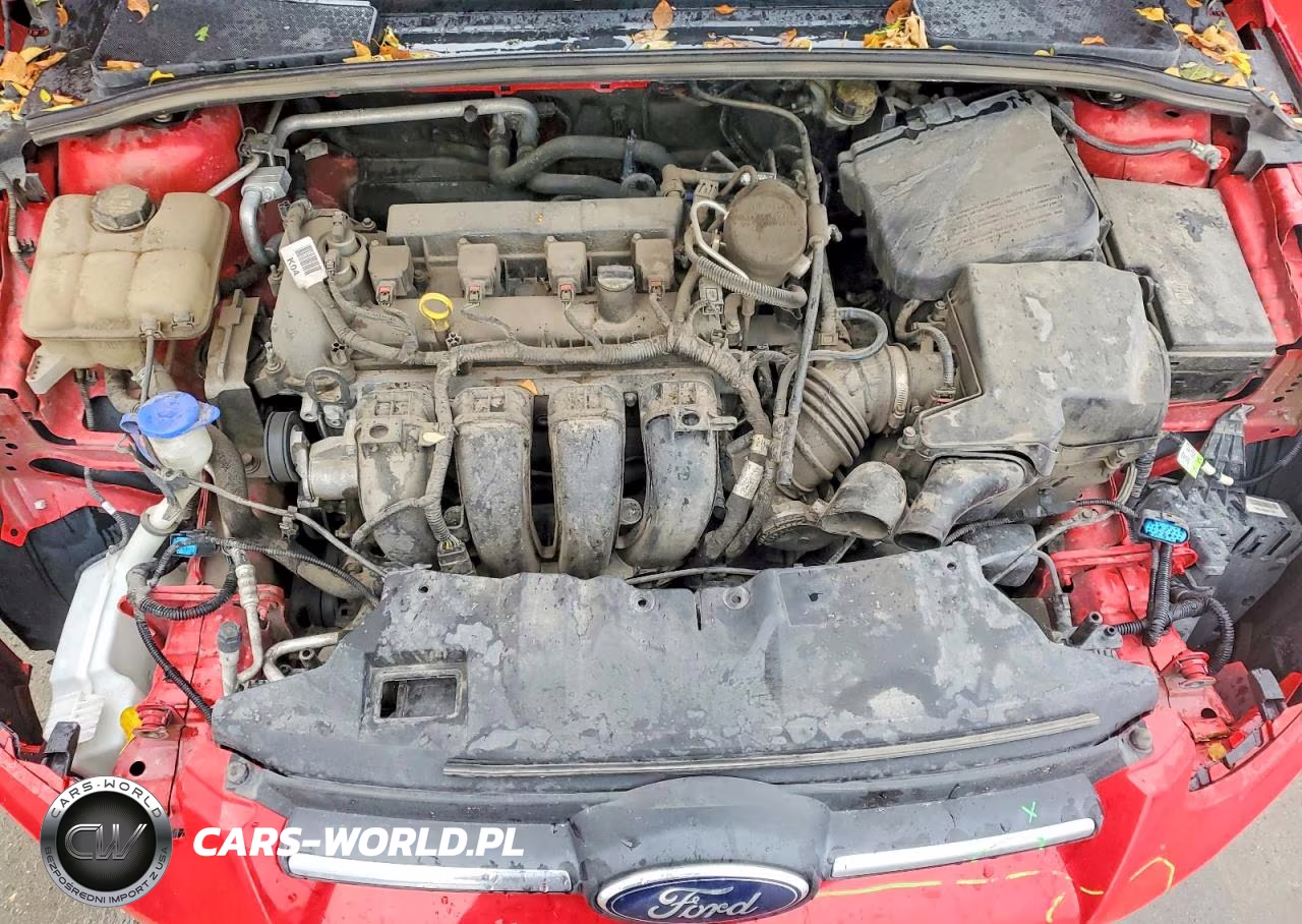 2014 Ford Focus Se VIN:1FADP3F27EL421037 - 11