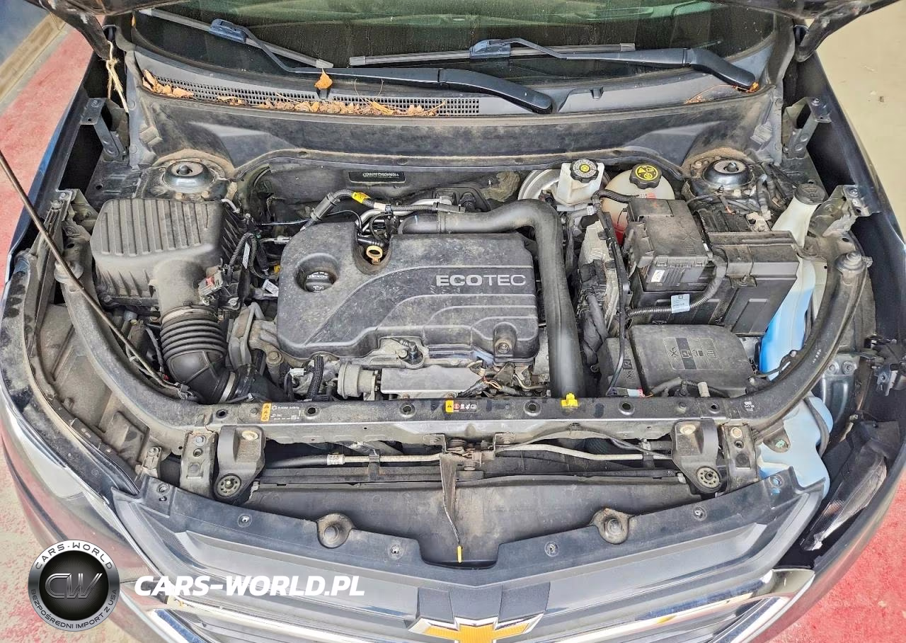2019 Chevrolet Equinox Lt VIN:2GNAXTEV3K6259606 - 11