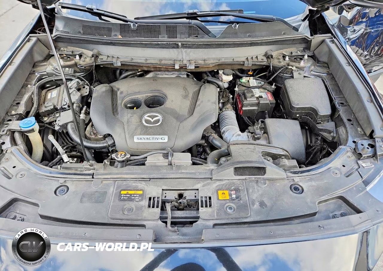 2021 Mazda Cx-9 Sport VIN:JM3TCABYXM0513427 - 12