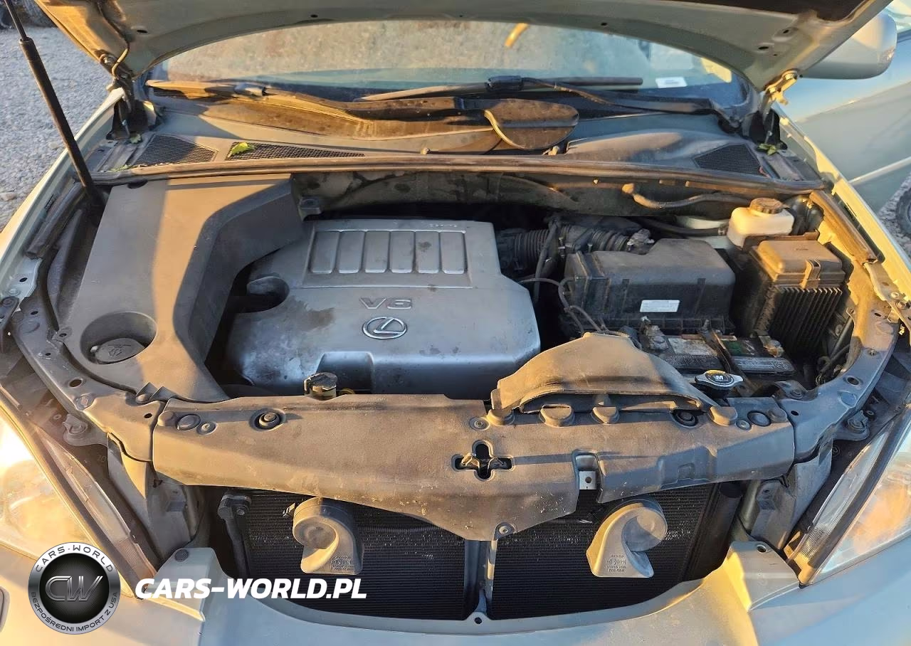 2009 Lexus Rx 350 VIN:2T2HK31U59C130628 - 12