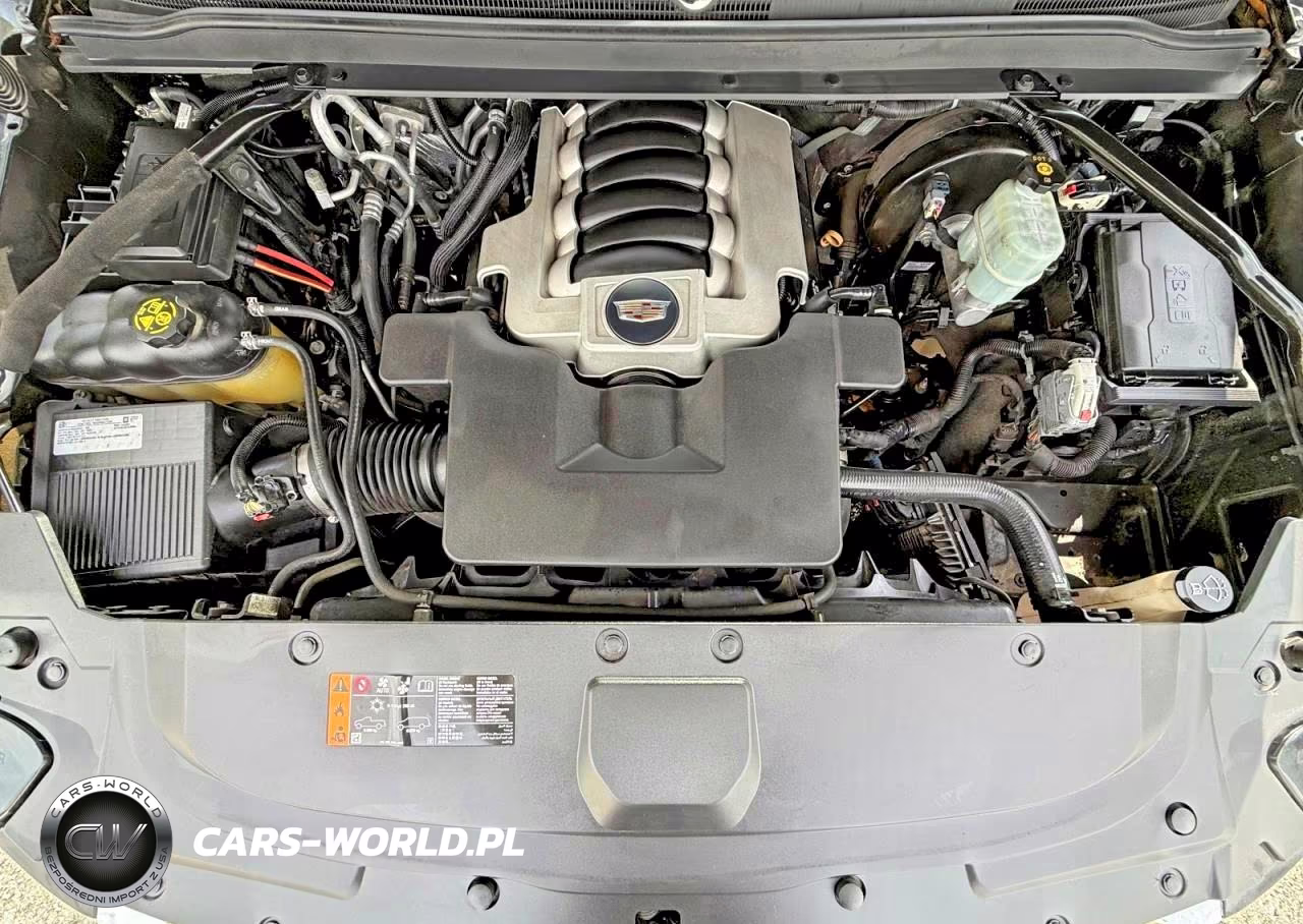 2020 Cadillac Escalade Esv Premium Luxury VIN:1GYS3JKJ0LR149661 - 14
