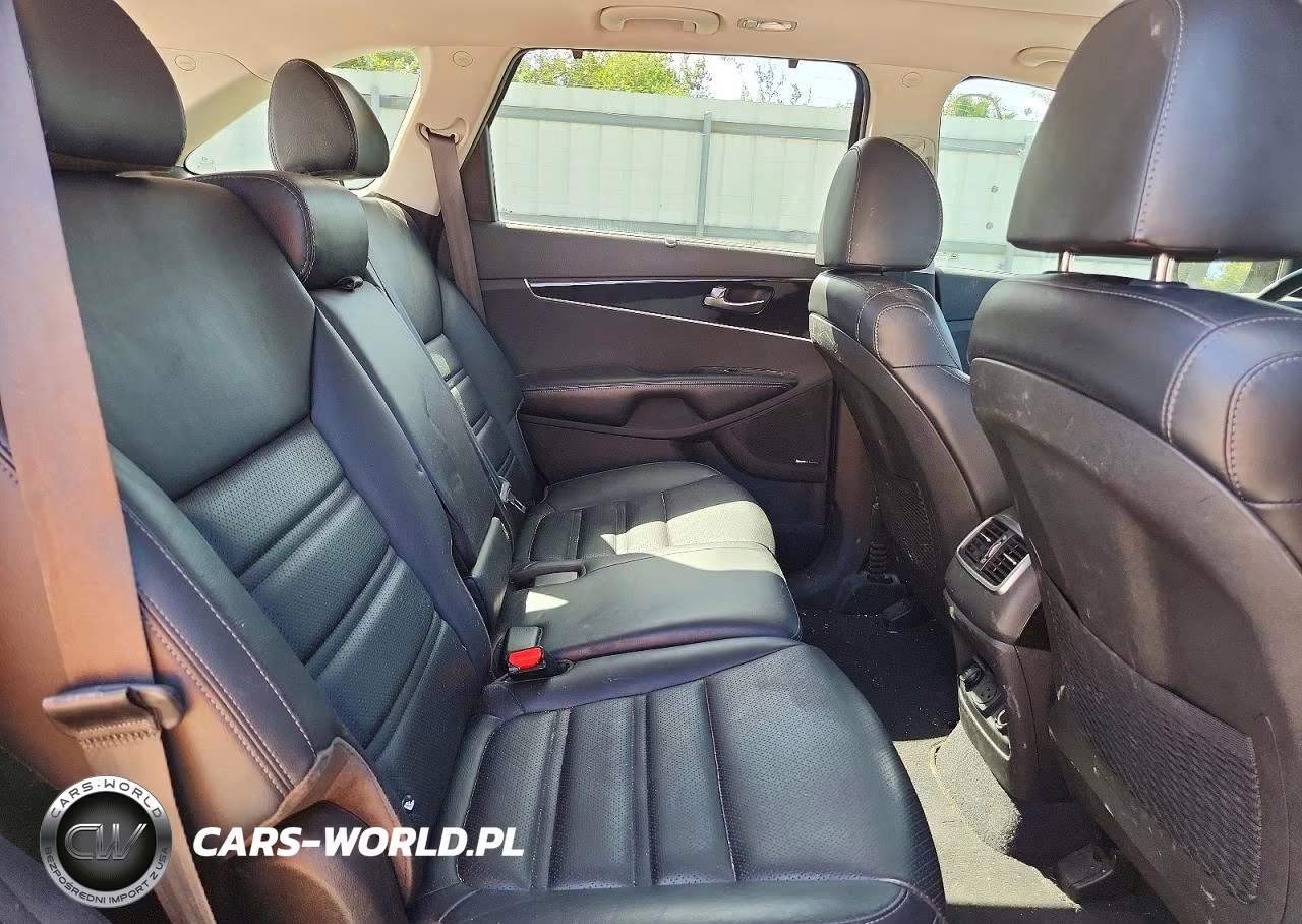 2019 Kia Sorento Ex V6 VIN:5XYPH4A5XKG497046 - 10