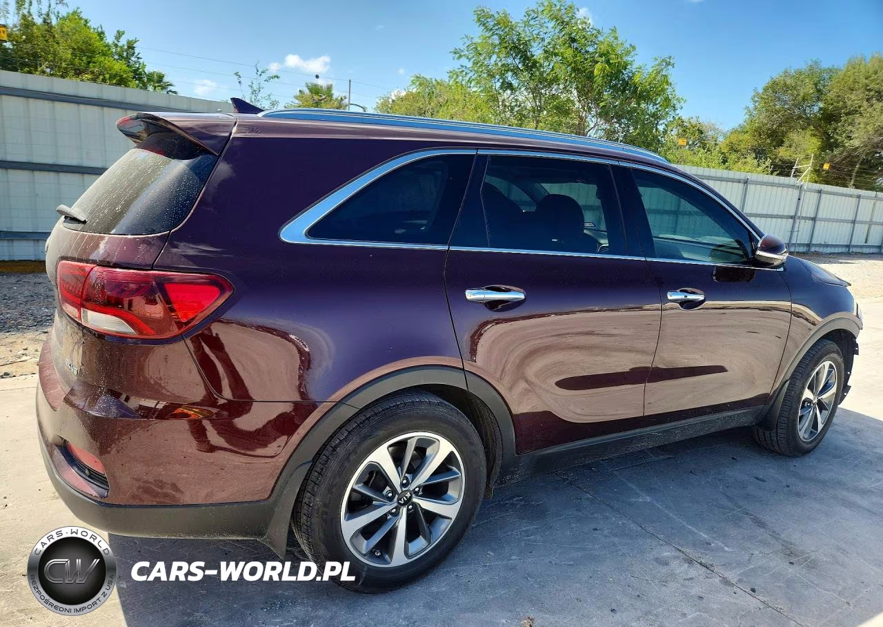 2019 Kia Sorento Ex V6 VIN:5XYPH4A5XKG497046 - 3
