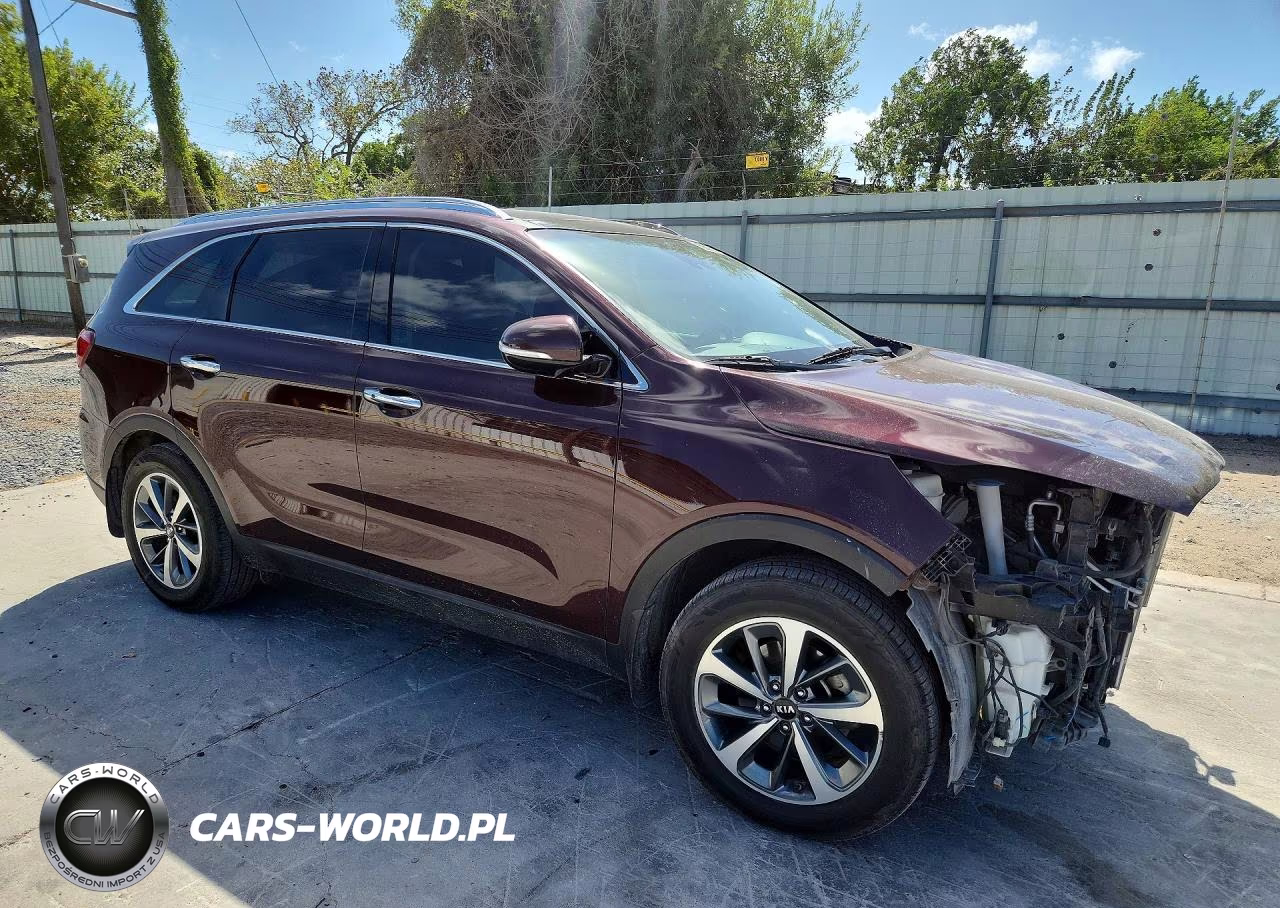 2019 Kia Sorento Ex V6 VIN:5XYPH4A5XKG497046 - 4