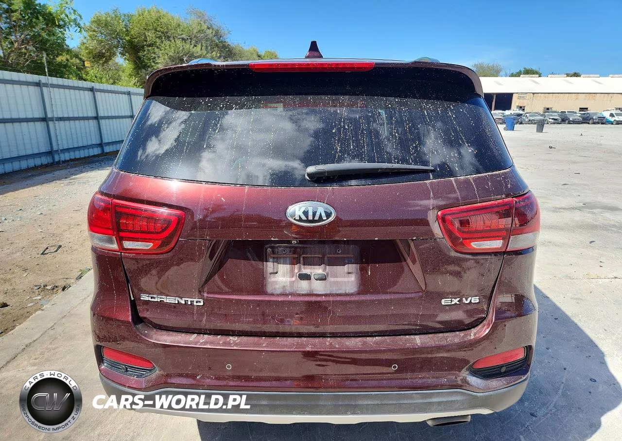 2019 Kia Sorento Ex V6 VIN:5XYPH4A5XKG497046 - 6
