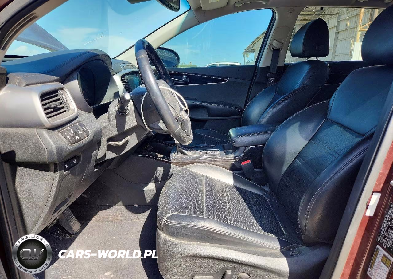 2019 Kia Sorento Ex V6 VIN:5XYPH4A5XKG497046 - 7