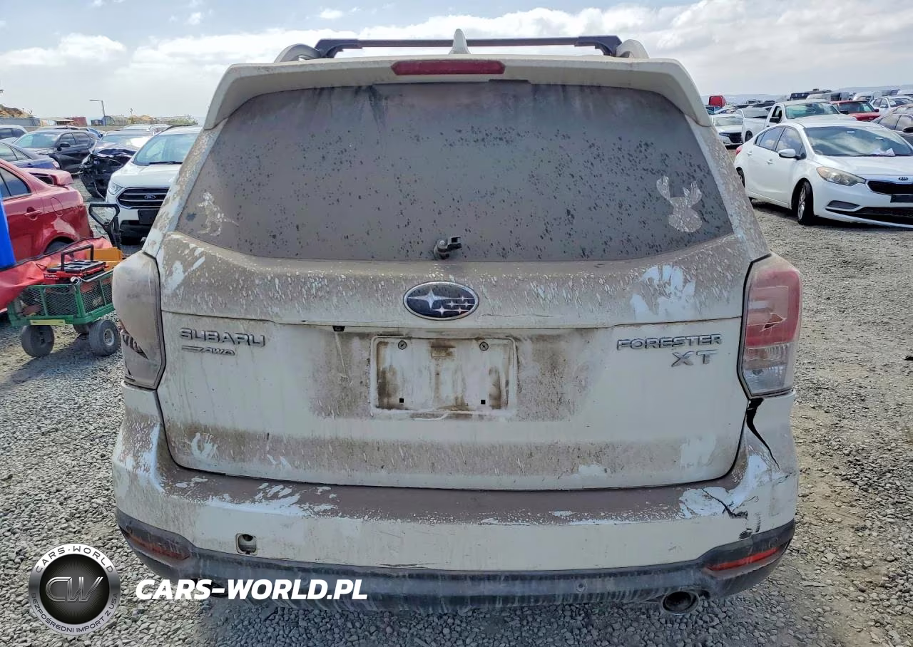 2018 Subaru Forester 2.0Xt Touring VIN:JF2SJGWCXJH579650 - 6