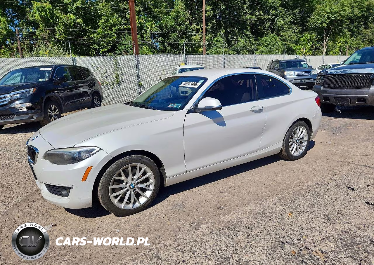 2015 BMW 228 I Sulev VIN:WBA1F9C52FVW98778 - 1