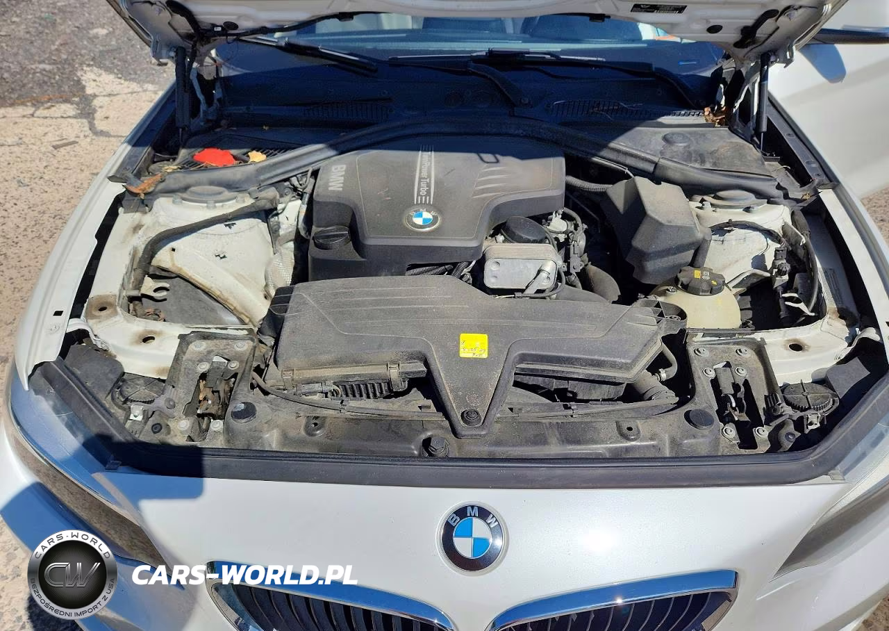 2015 BMW 228 I Sulev VIN:WBA1F9C52FVW98778 - 11