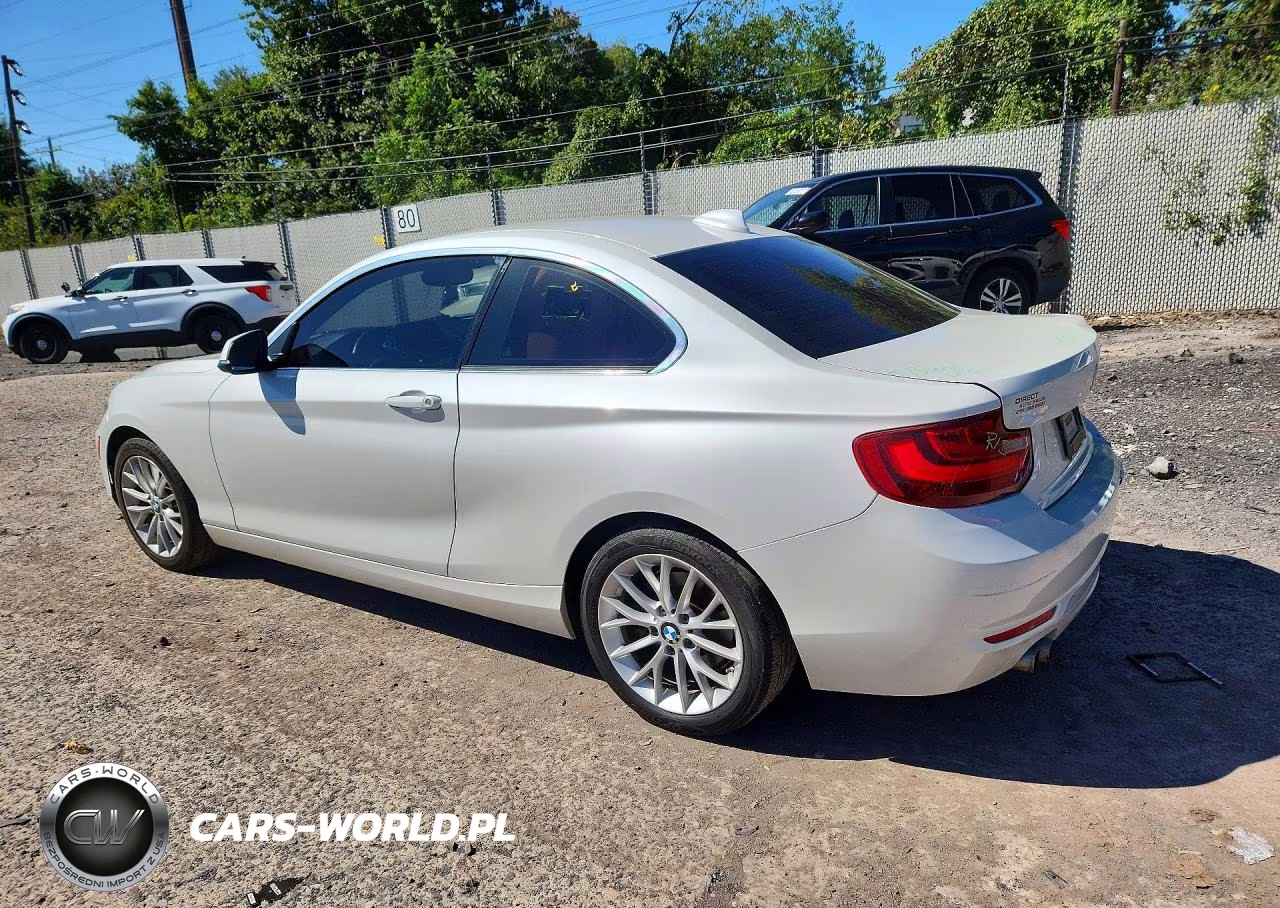 2015 BMW 228 I Sulev VIN:WBA1F9C52FVW98778 - 2