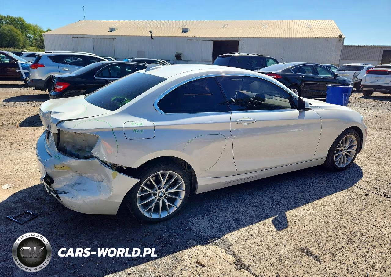 2015 BMW 228 I Sulev VIN:WBA1F9C52FVW98778 - 3