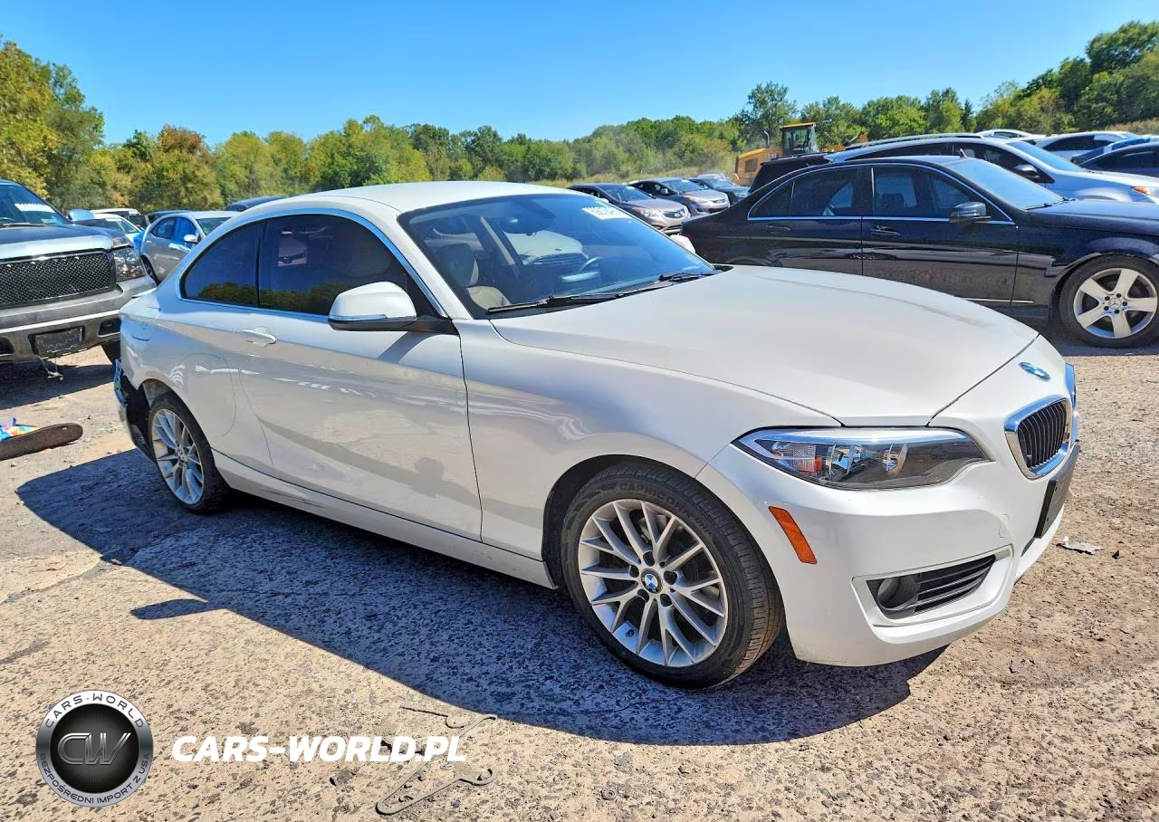 2015 BMW 228 I Sulev VIN:WBA1F9C52FVW98778 - 4