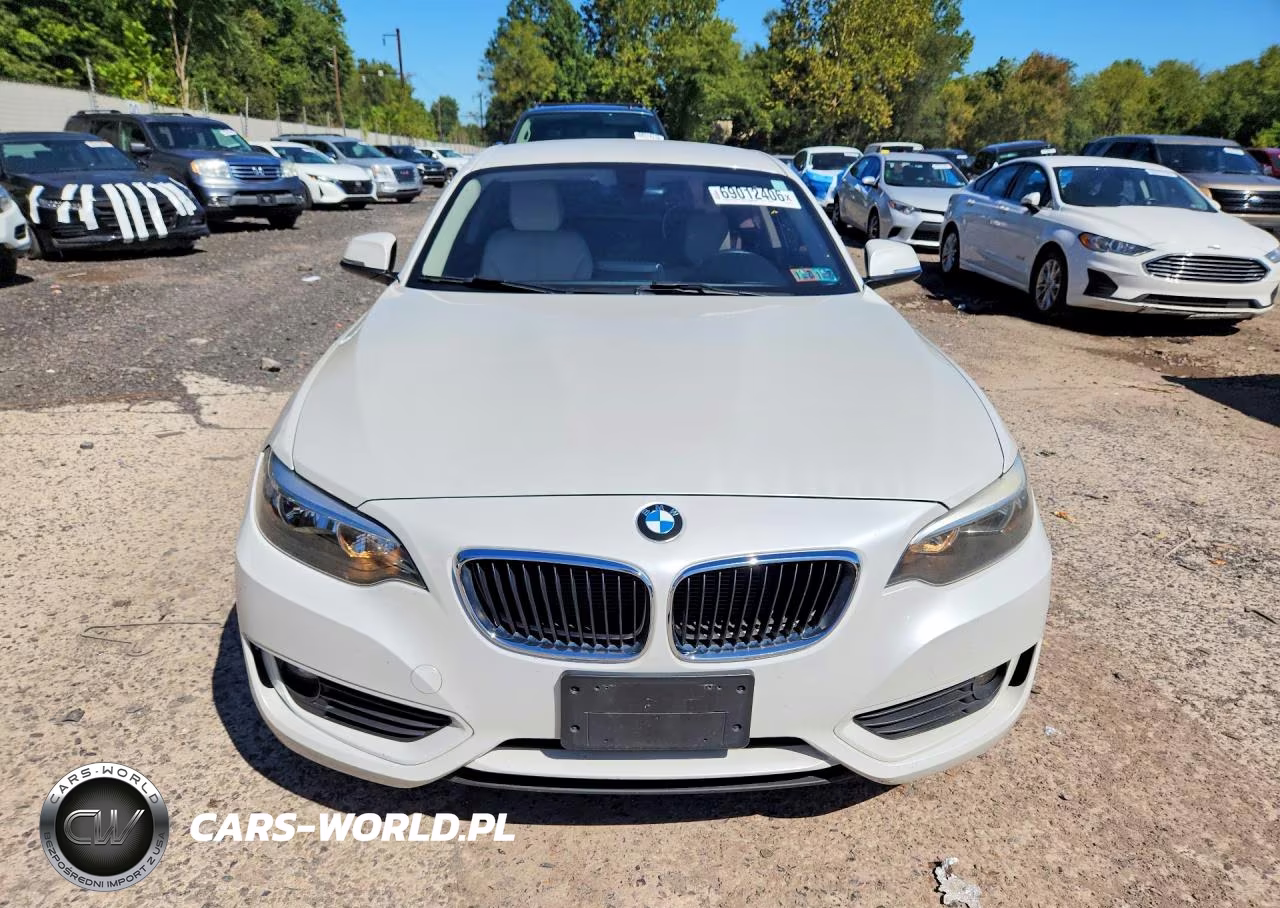 2015 BMW 228 I Sulev VIN:WBA1F9C52FVW98778 - 5